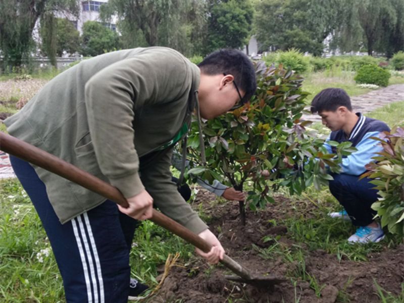 梓桐園藝社開展“我為學(xué)校添新綠”植樹活動