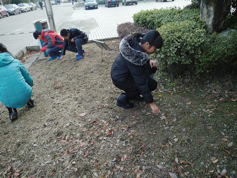 團委組織青年志愿者義務清理校園